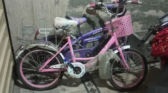 2 kids cycles